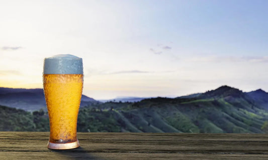 Is Lager Gluten Free?
