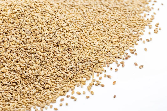 Is Malted Barley Gluten Free?