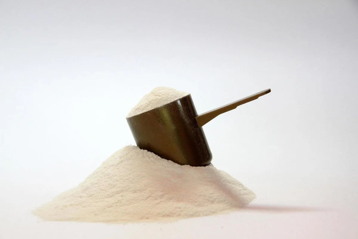 Is Iso 100 Gluten Free?