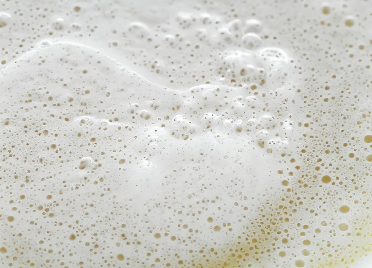 Is Champagne Yeast Gluten Free?