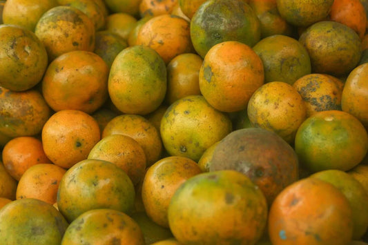 Is Orange Curacao Gluten Free?