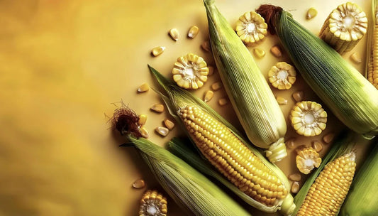 Is Mazola Corn Oil Gluten Free?