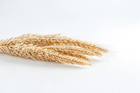 Is Khorasan Wheat Gluten Free?