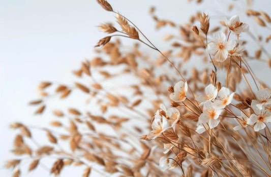 Is Oat Flower Gluten Free?