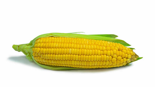 Is Maize Gluten Free?