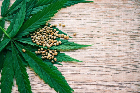 Is Hemp Seed Gluten Free?
