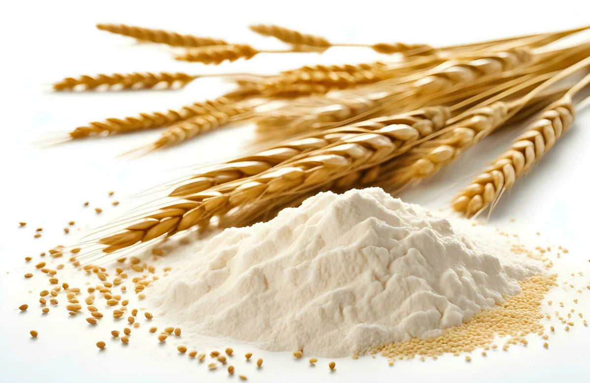 Is Wheat Gluten Gluten Free?