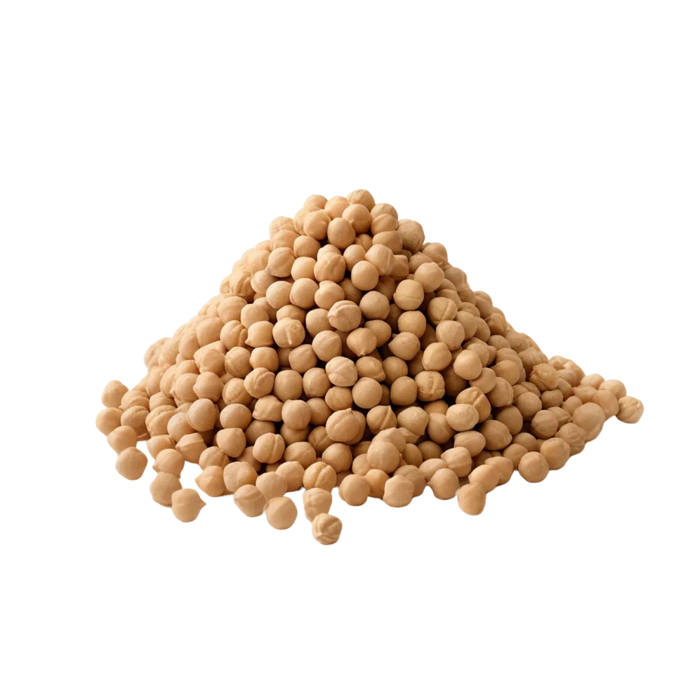 Is Soy Protein Isolate Gluten Free?