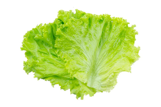 Is Lettuce Gluten Free?