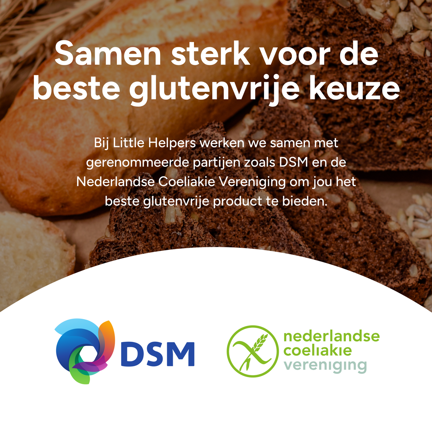 Little Helpers Anti-Gluten Pills